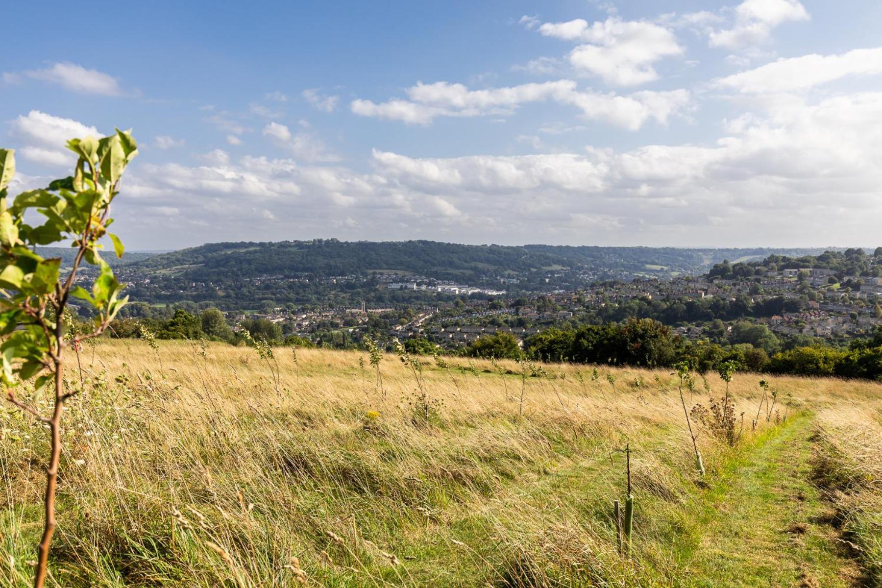 Charlcombe Valley Orchards Glamping Luxury tent *