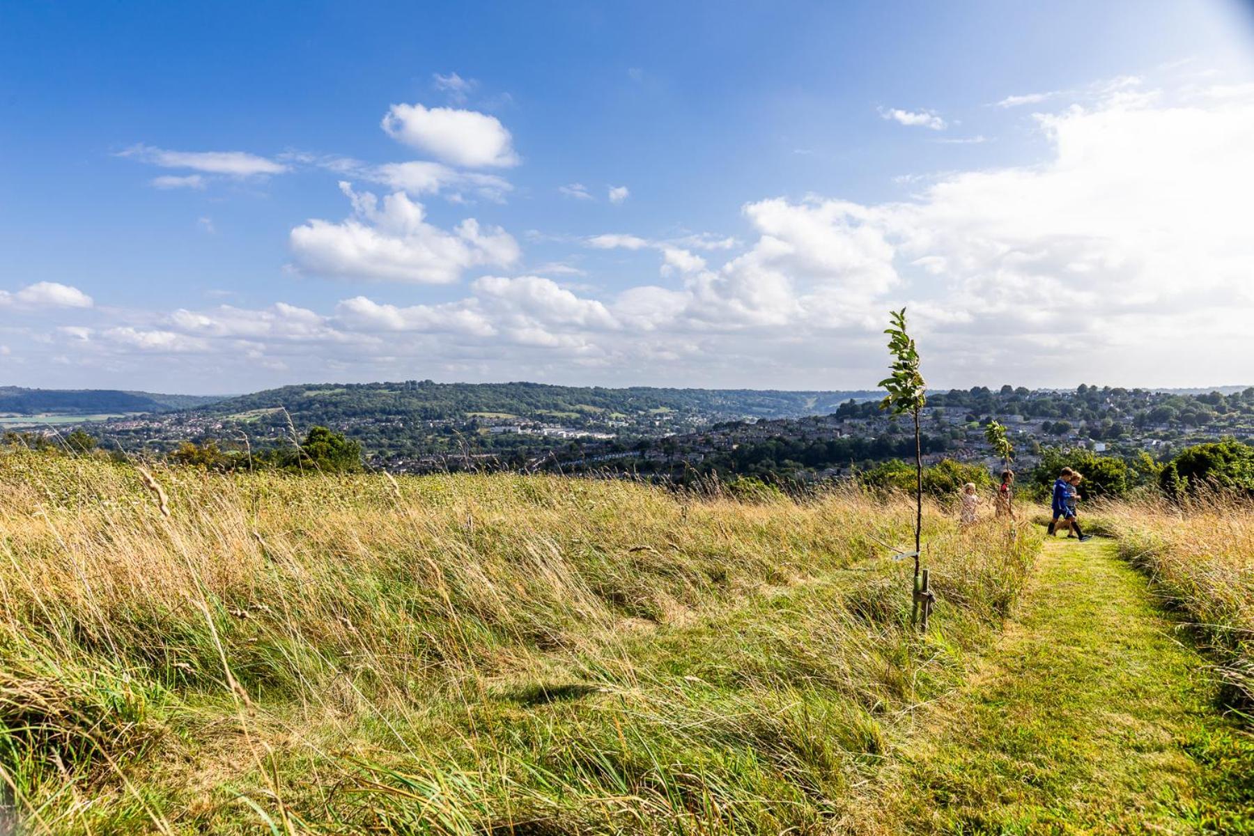 Charlcombe Valley Orchards Glamping