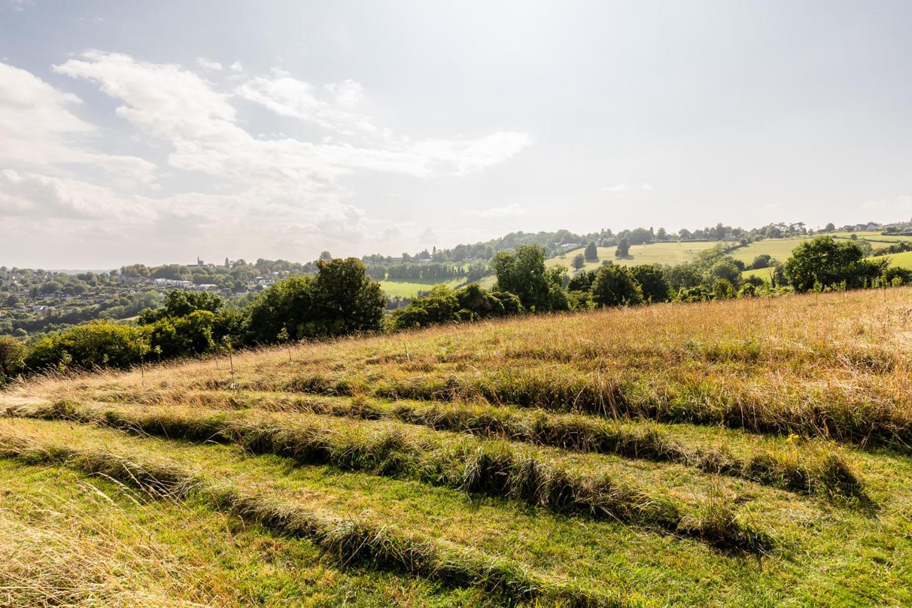 Charlcombe Valley Orchards Glamping * Bath
