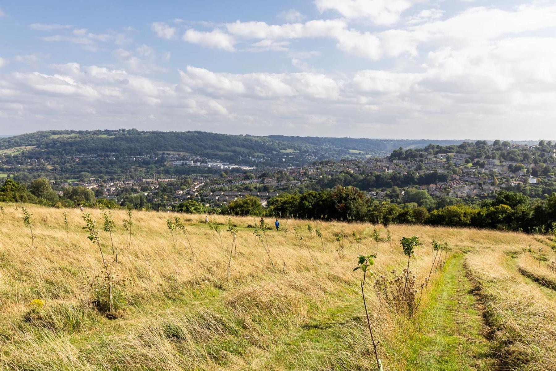 Charlcombe Valley Orchards Glamping